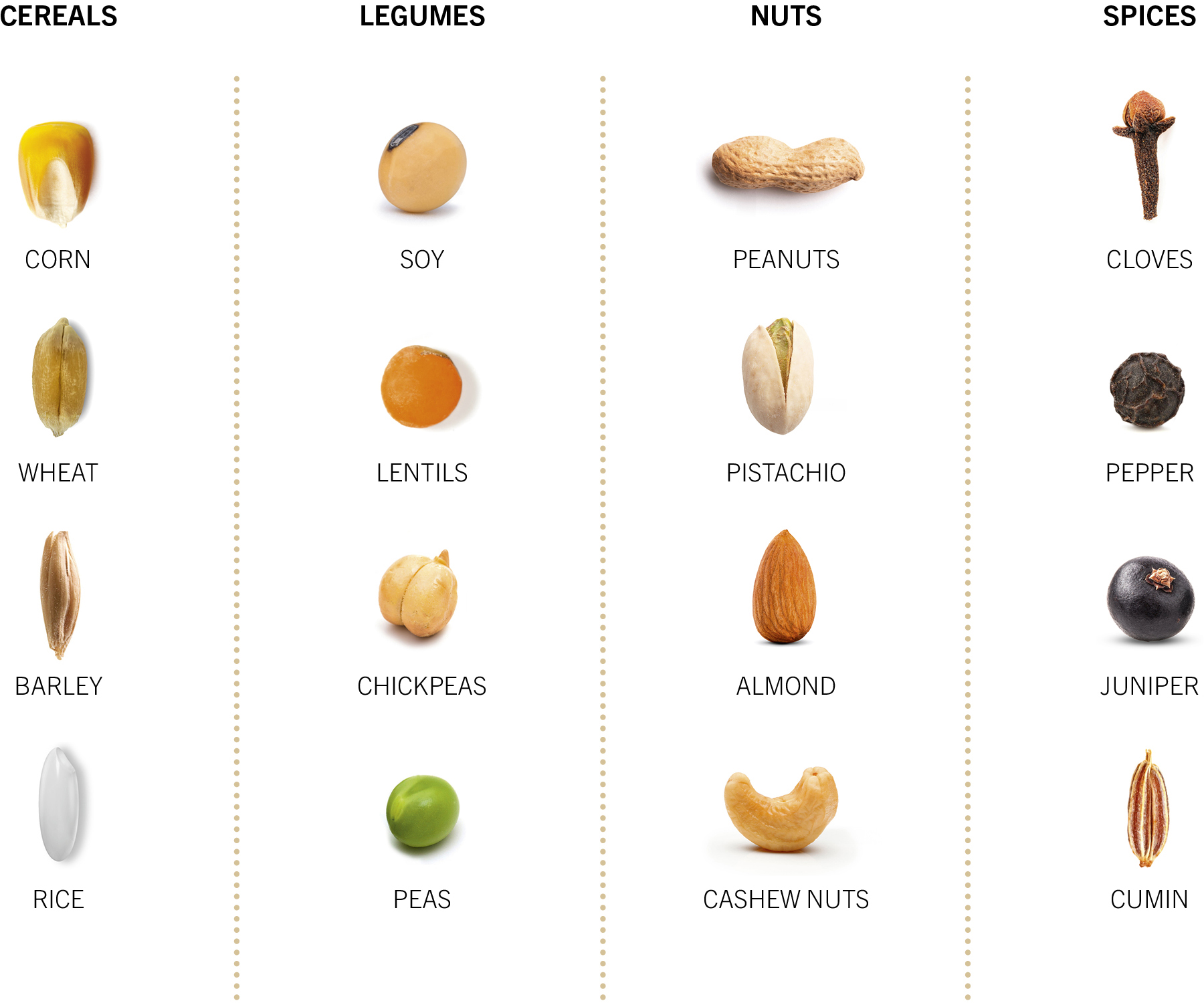 Cereals, legumes, dried fruit, and spices are the main categories of processed products.