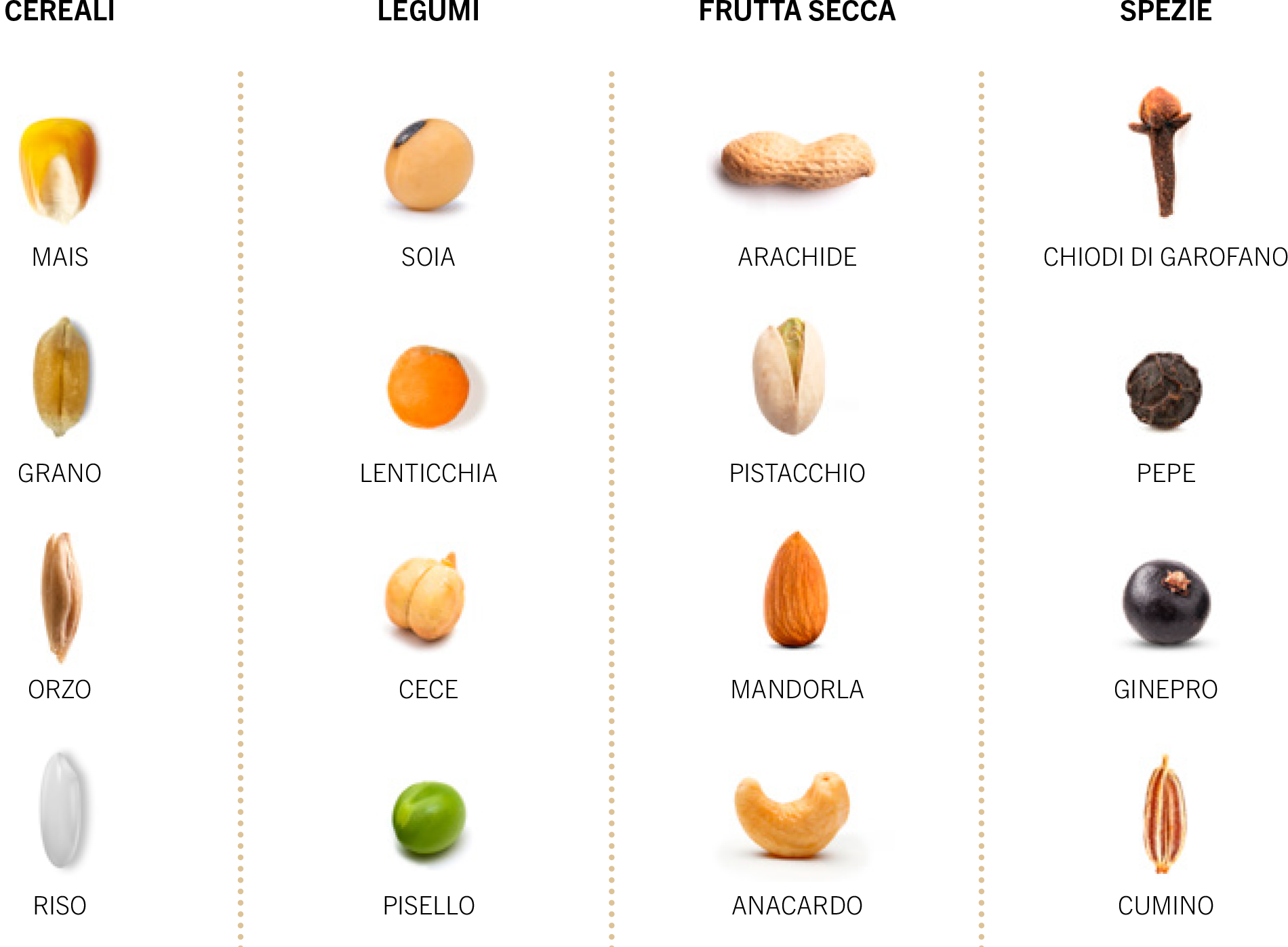 Cereali, legumi, frutta secca e spezie