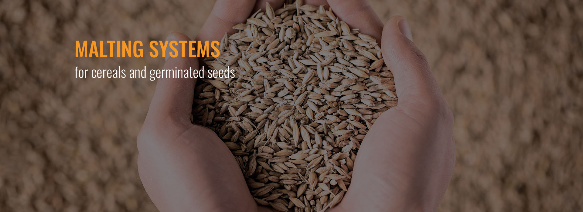 Malting systems for cereals and germinated seeds