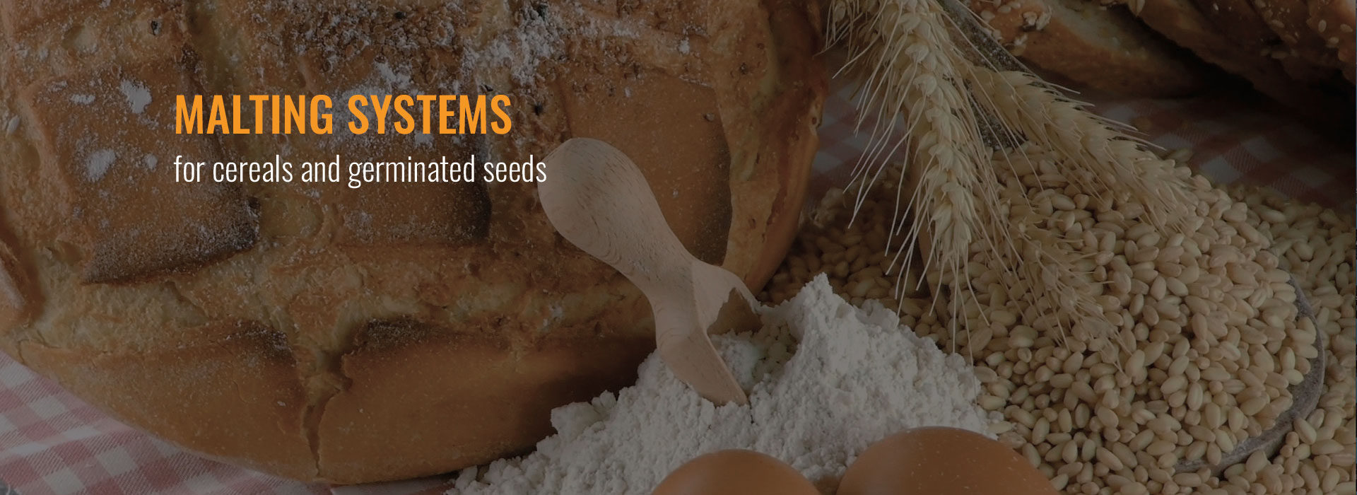 Malting systems for cereals and germinated seeds