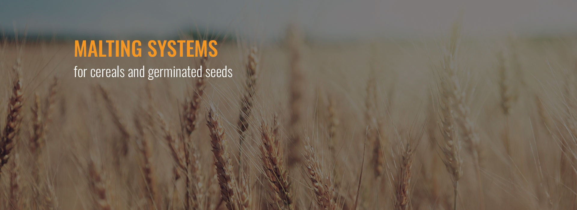 Malting systems for cereals and germinated seeds